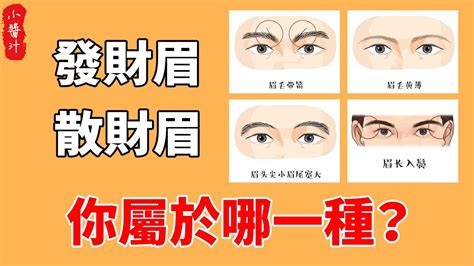 行眉運|從眉毛看一個人的健康、財運、個性、愛情…太準了！。